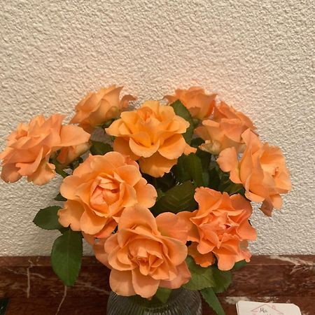 Ma Maison 马瑟伊兰 外观 照片